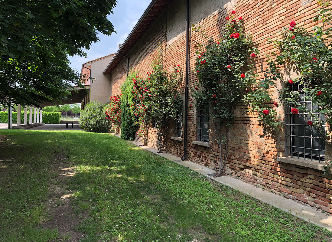 img_ASSOCIAZIONE-rose